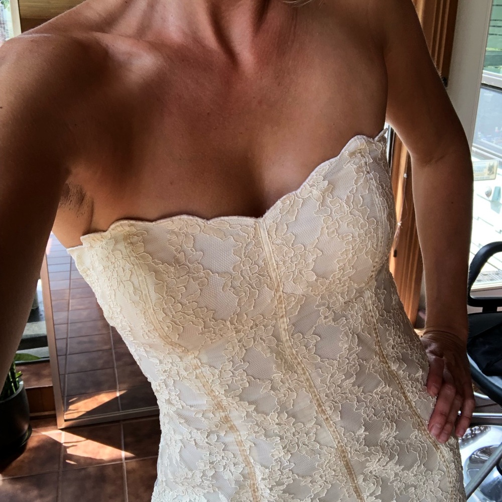 White house | Black market Cream Lace MIDI dress
